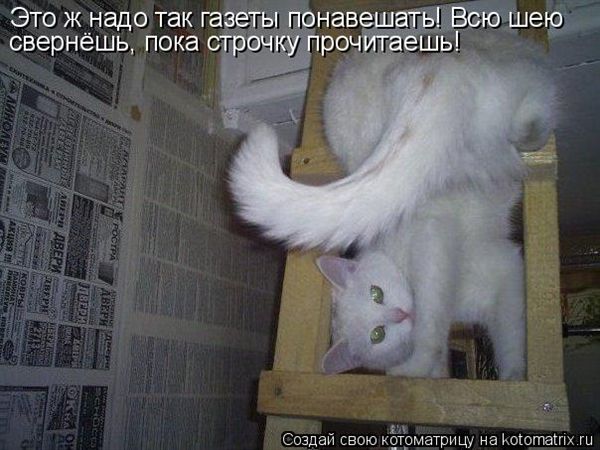 ����-������ �� www.RzhuNeMogu.ru � 47441