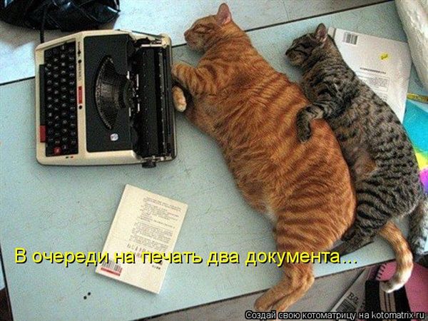 ����-������ �� www.RzhuNeMogu.ru � 47442