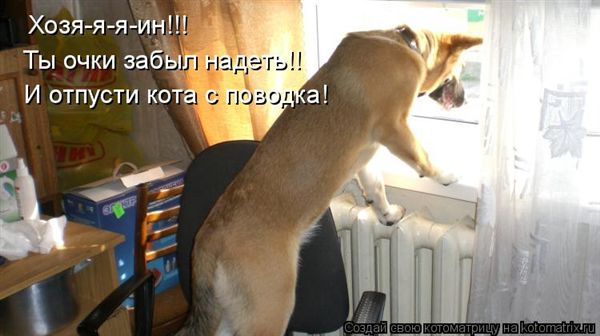 ����-������ �� www.RzhuNeMogu.ru � 47443