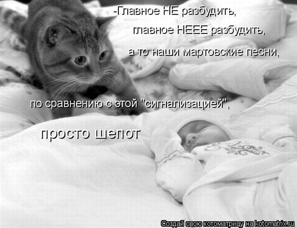 ����-������ �� www.RzhuNeMogu.ru � 47445