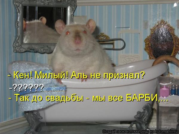 ����-������ �� www.RzhuNeMogu.ru � 47446