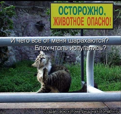 ����-������ �� www.RzhuNeMogu.ru � 47447