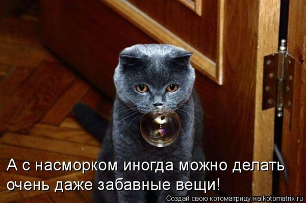 ����-������ �� www.RzhuNeMogu.ru � 47449