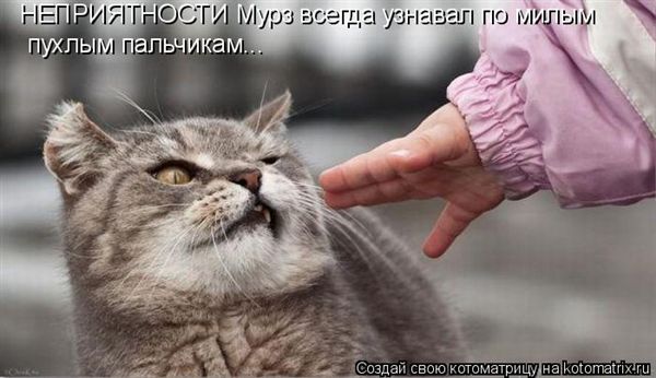 ����-������ �� www.RzhuNeMogu.ru � 47451