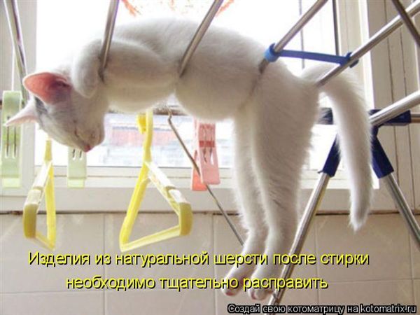 ����-������ �� www.RzhuNeMogu.ru � 47452