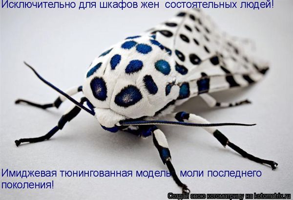 ����-������ �� www.RzhuNeMogu.ru � 47453