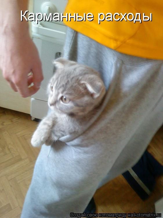 ����-������ �� www.RzhuNeMogu.ru � 47454