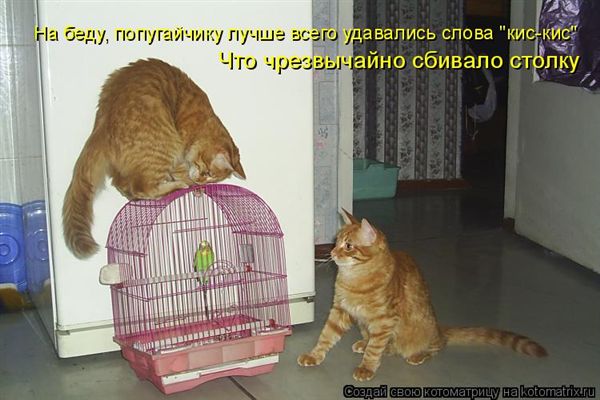 ����-������ �� www.RzhuNeMogu.ru � 47455