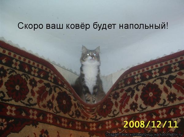 ����-������ �� www.RzhuNeMogu.ru � 47456