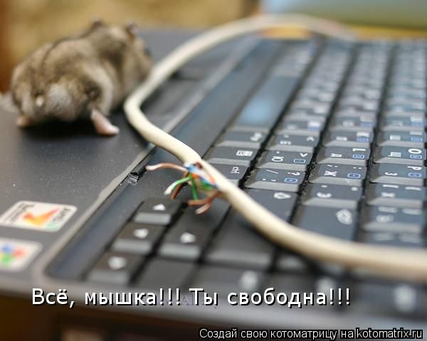 ����-������ �� www.RzhuNeMogu.ru � 47457