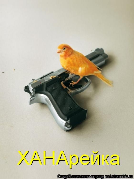 ����-������ �� www.RzhuNeMogu.ru � 47460