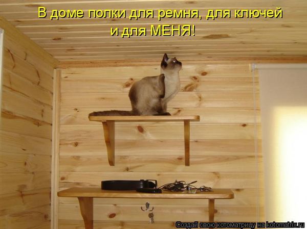 ����-������ �� www.RzhuNeMogu.ru � 47461