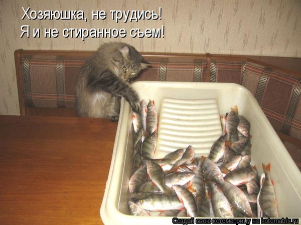 ����-������ �� www.RzhuNeMogu.ru � 47462