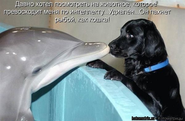 ����-������ �� www.RzhuNeMogu.ru � 47463