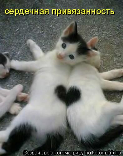 ����-������ �� www.RzhuNeMogu.ru � 47466