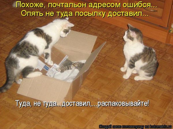 ����-������ �� www.RzhuNeMogu.ru � 47467