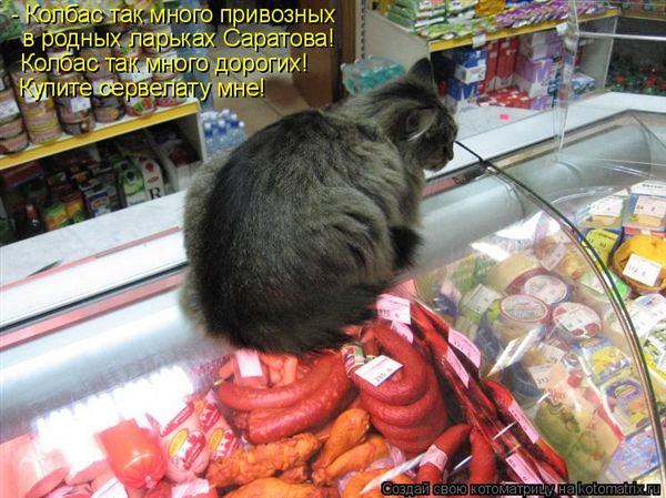 ����-������ �� www.RzhuNeMogu.ru � 47468