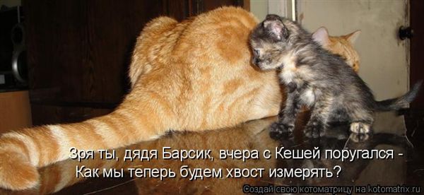 ����-������ �� www.RzhuNeMogu.ru � 47470