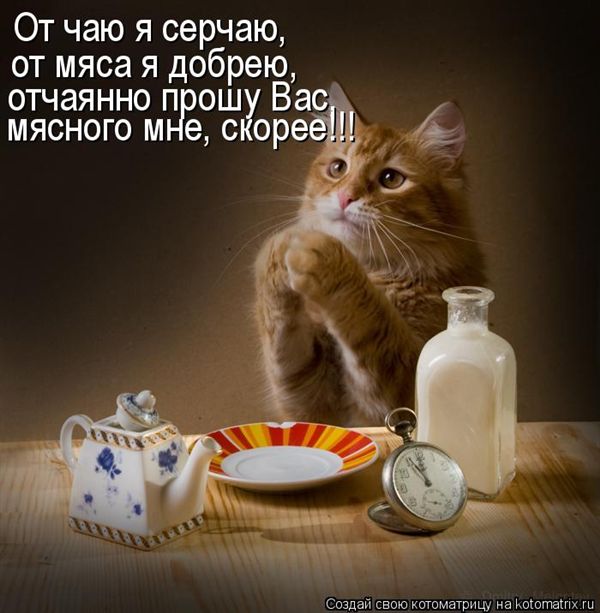 ����-������ �� www.RzhuNeMogu.ru � 47471