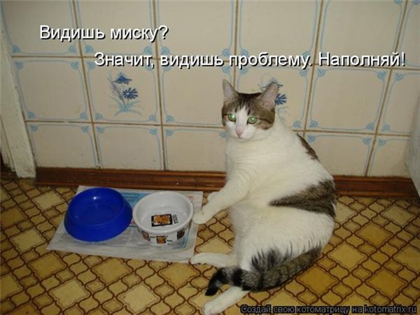 ����-������ �� www.RzhuNeMogu.ru � 47484