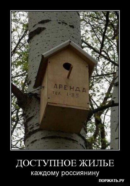 ����-������ �� www.RzhuNeMogu.ru � 47486