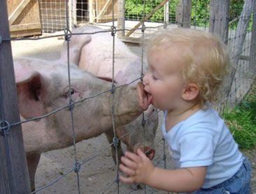 ����-������ �� www.RzhuNeMogu.ru � 47490