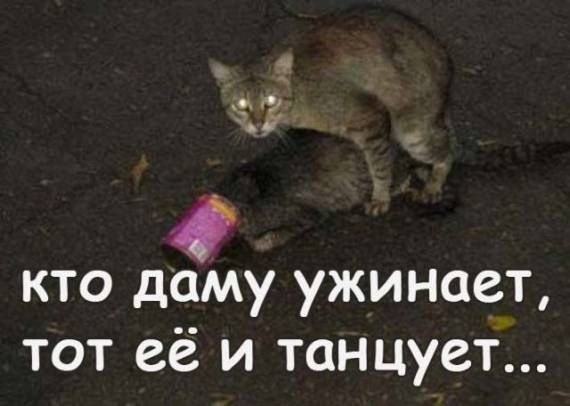 ����-������ �� www.RzhuNeMogu.ru � 47559