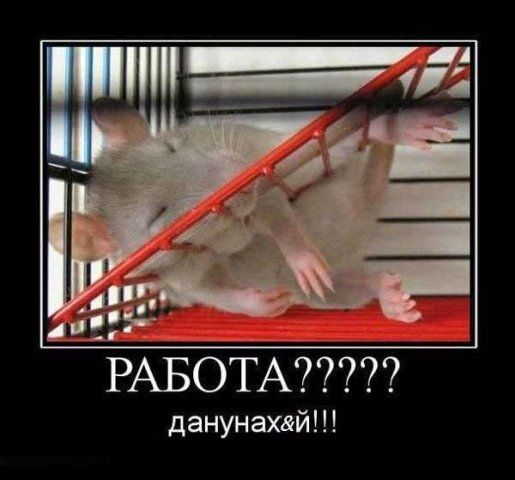 ����-������ �� www.RzhuNeMogu.ru � 47561