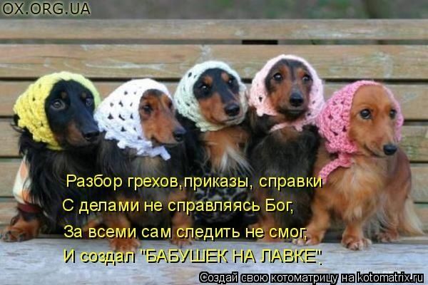 ����-������ �� www.RzhuNeMogu.ru � 47580