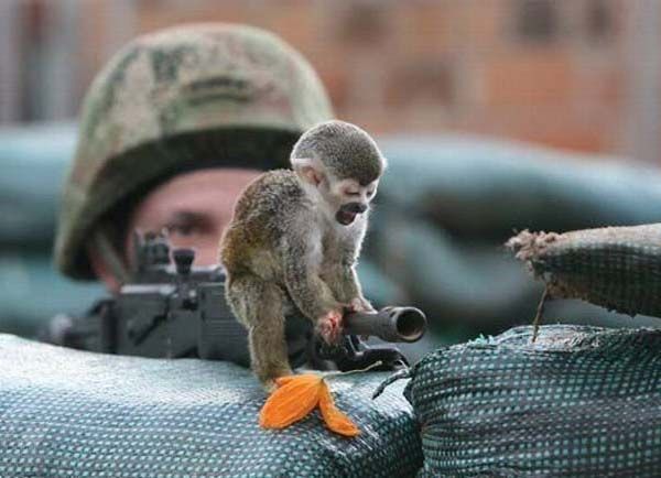 ����-������ �� www.RzhuNeMogu.ru � 47581