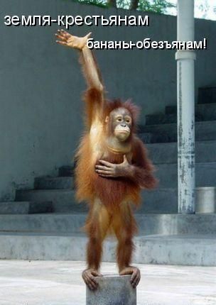 ����-������ �� www.RzhuNeMogu.ru � 47583