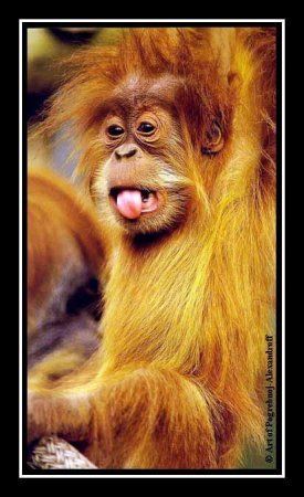 ����-������ �� www.RzhuNeMogu.ru � 47584