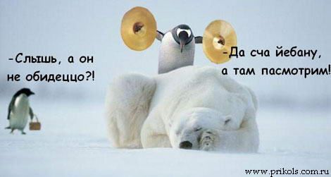 ����-������ �� www.RzhuNeMogu.ru � 47588