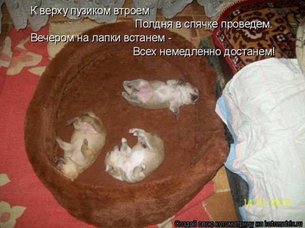 ����-������ �� www.RzhuNeMogu.ru � 47823