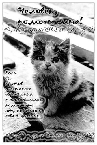 ����-������ �� www.RzhuNeMogu.ru � 47911