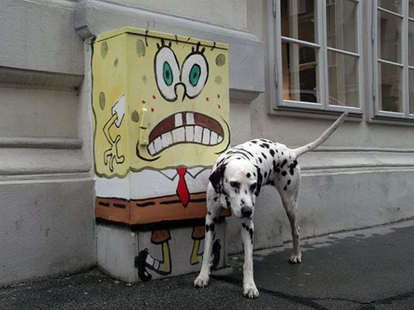 ����-������ �� www.RzhuNeMogu.ru � 47967