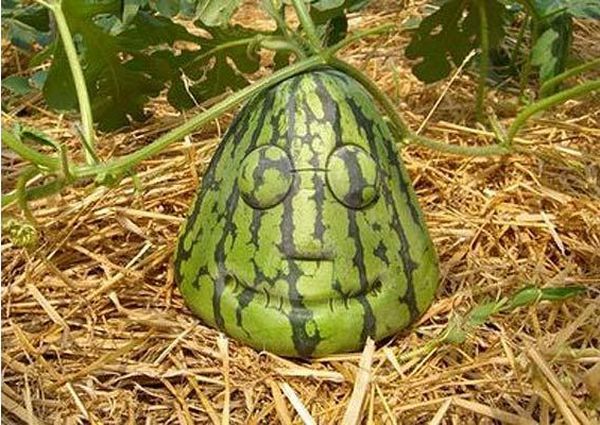 ����-������ �� www.RzhuNeMogu.ru � 47968