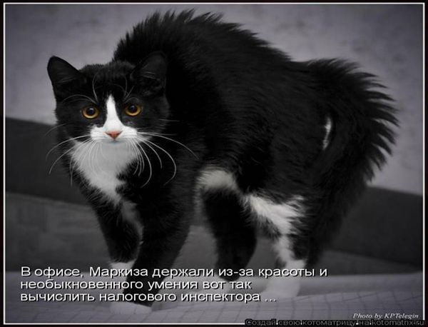 ����-������ �� www.RzhuNeMogu.ru � 48205