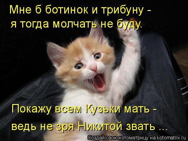 ����-������ �� www.RzhuNeMogu.ru � 48206