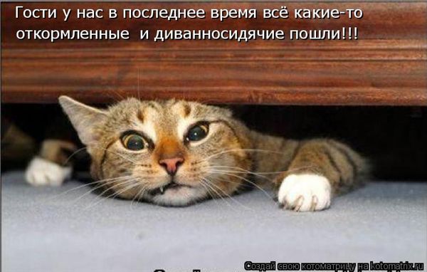 ����-������ �� www.RzhuNeMogu.ru � 48208