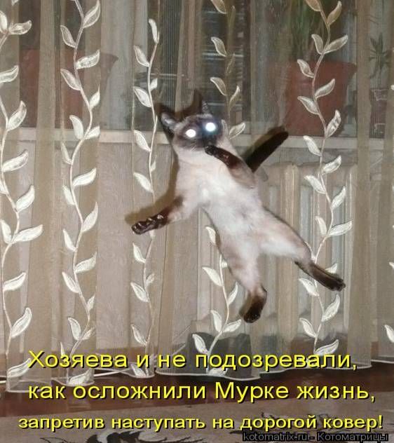 ����-������ �� www.RzhuNeMogu.ru � 48210