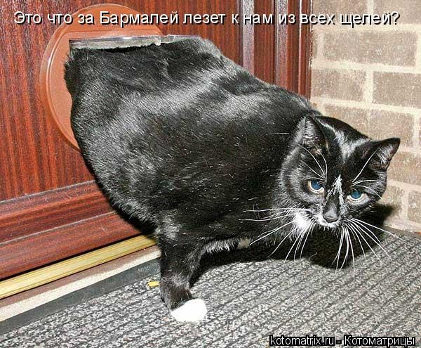 ����-������ �� www.RzhuNeMogu.ru � 48211