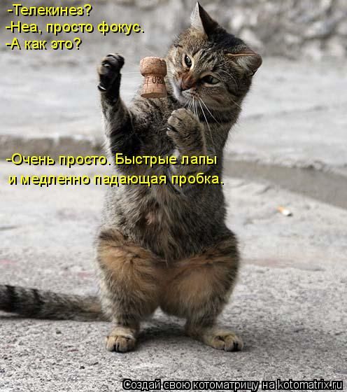 ����-������ �� www.RzhuNeMogu.ru � 48212