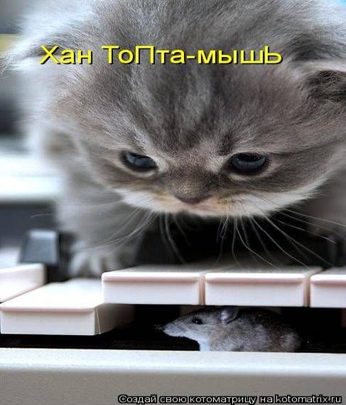 ����-������ �� www.RzhuNeMogu.ru � 48213