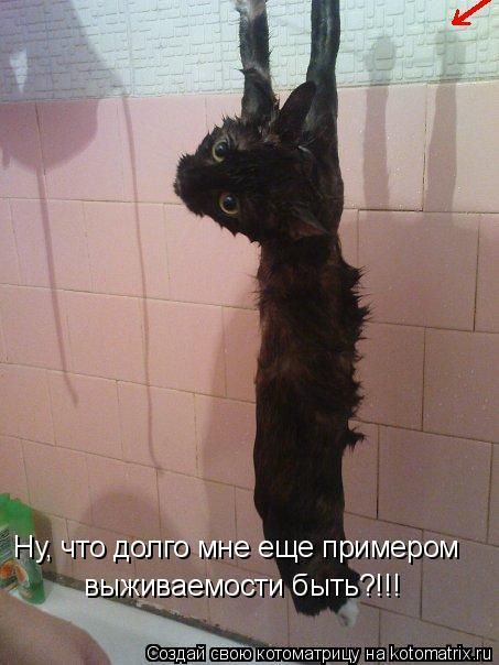 ����-������ �� www.RzhuNeMogu.ru � 48214