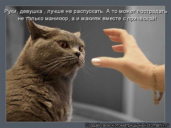 ����-������ �� www.RzhuNeMogu.ru � 48215