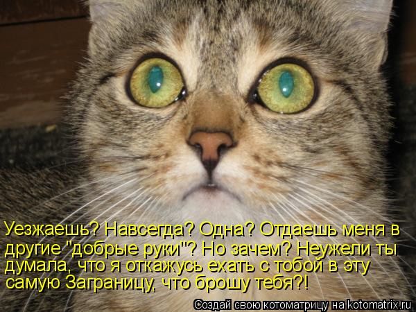 ����-������ �� www.RzhuNeMogu.ru � 48216