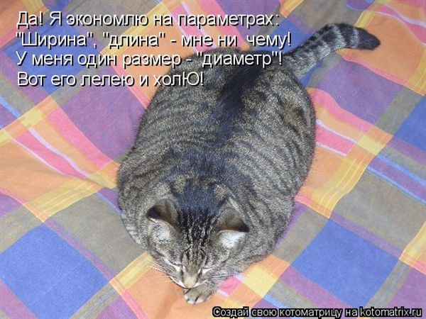 ����-������ �� www.RzhuNeMogu.ru � 48219