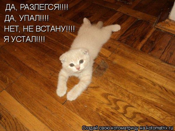 ����-������ �� www.RzhuNeMogu.ru � 48221