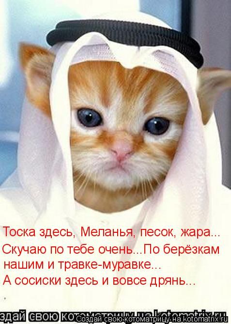 ����-������ �� www.RzhuNeMogu.ru � 48222